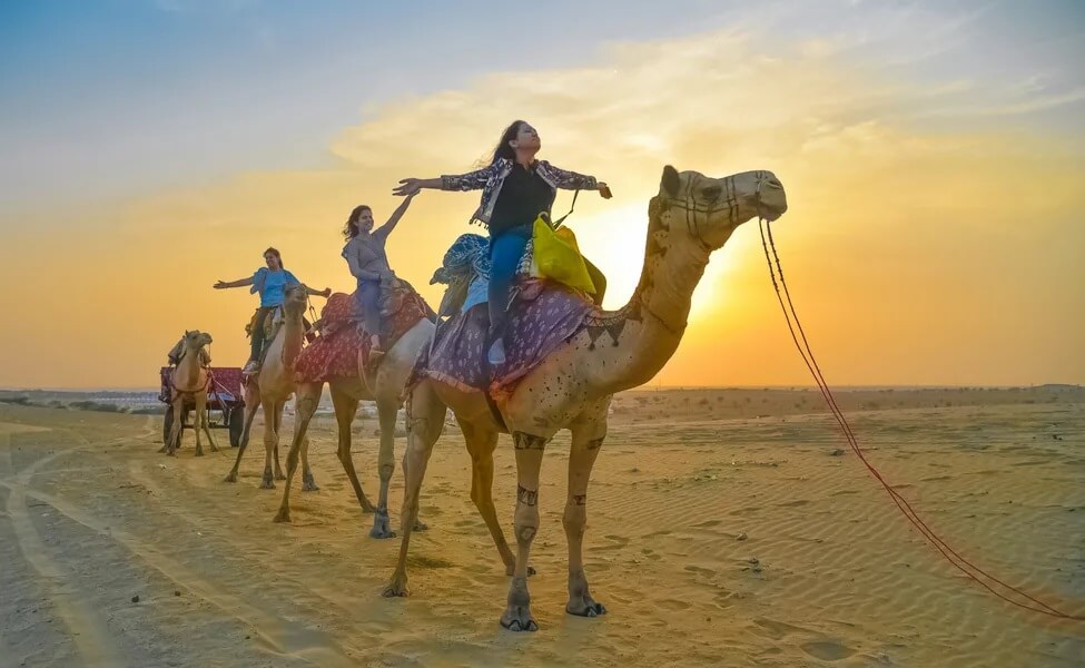 Camel Safari in Jaisalmer @ ₹300 Per Person - Sam Sand Dunes Sunset Camel Ride
