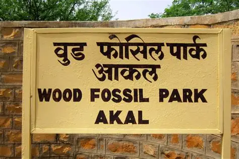 Akal Wood Fossil Park Jaisalmer Tour