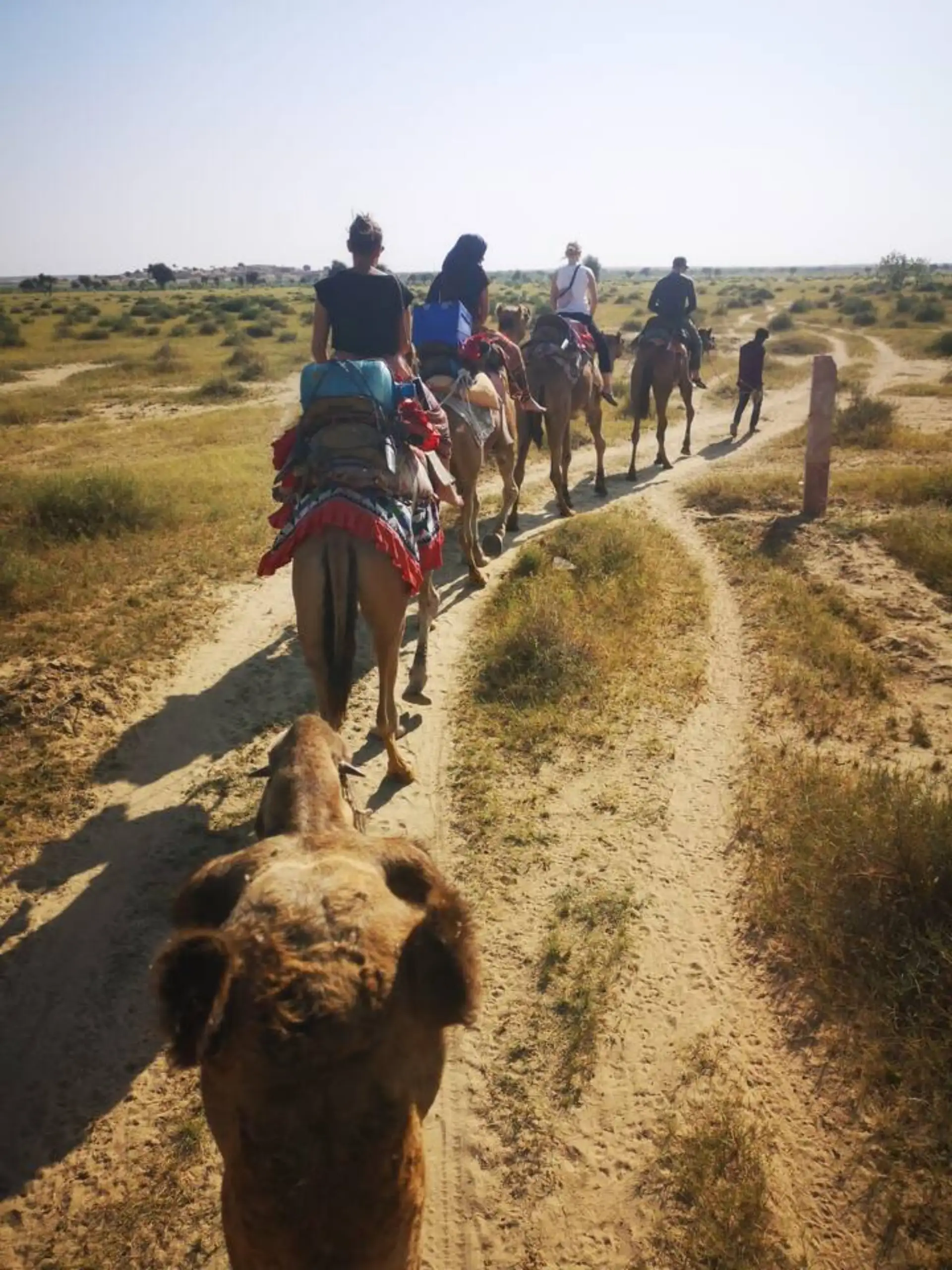 Heritage Walking Tour Jaisalmer @ ₹999 - Fort, Patwon Haveli, Jain Temples Guided Walk